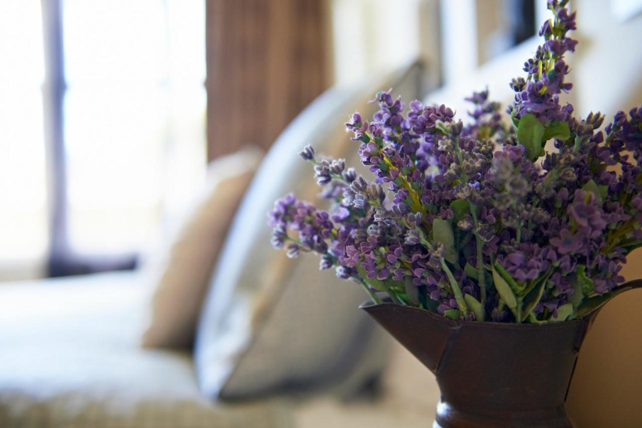Cambridge Cottage - Self Catering Holiday House エクステリア 写真